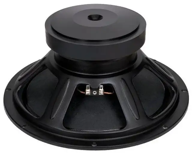 Głośnik estradowy 12 cali: Jak wybrać idealny? Poradnik