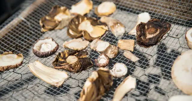 Ile gotować grzyby suszone w zupie, aby były idealnie miękkie?