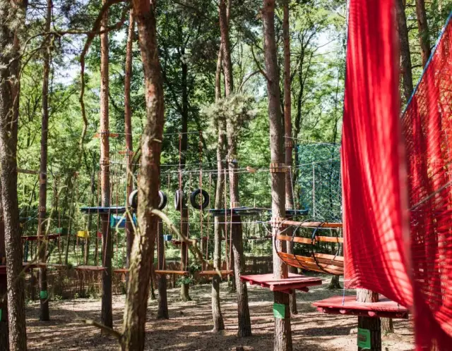 Sady Klemensa atrakcje, które zachwycą dzieci i dorosłych