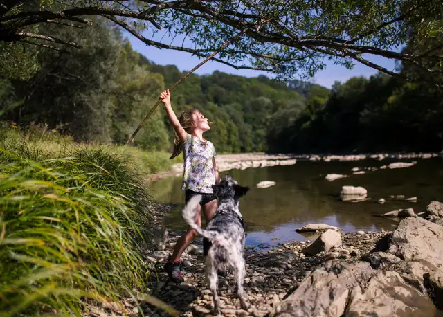 Gdzie z psem na spacer? Odkryj najlepsze miejsca w Polsce