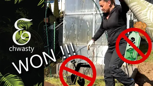 Jak zwalczyć wijące się chwasty? Skuteczne metody i porady