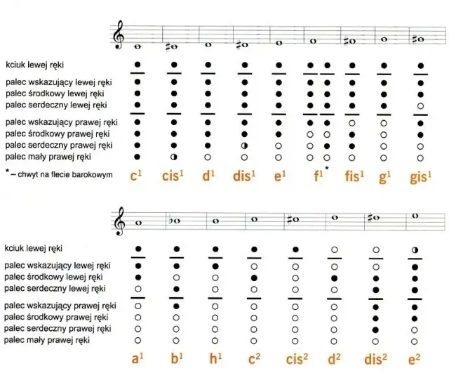 Jak zagrać D2 na flecie – proste kroki dla lepszego brzmienia