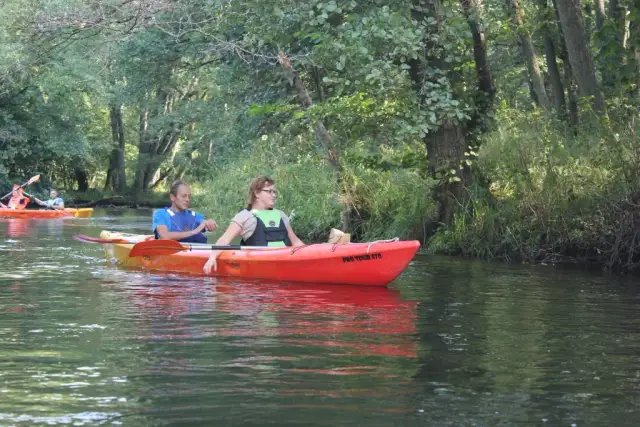 Spływ kajakowy Warka - najpiękniejsze trasy i porady dla początkujących