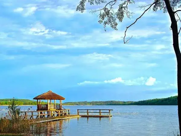 Jezioro Pierzchalskie: historia, ekologia i wędkarstwo w sercu Mazur