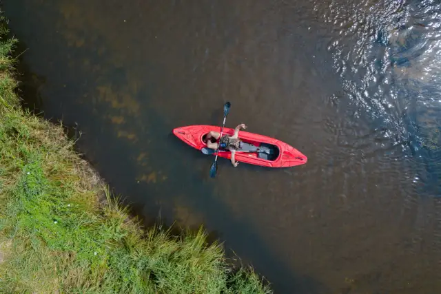 Spływy kajakowe Nidą z Bastek: Trasy, Cennik, Rezerwacja