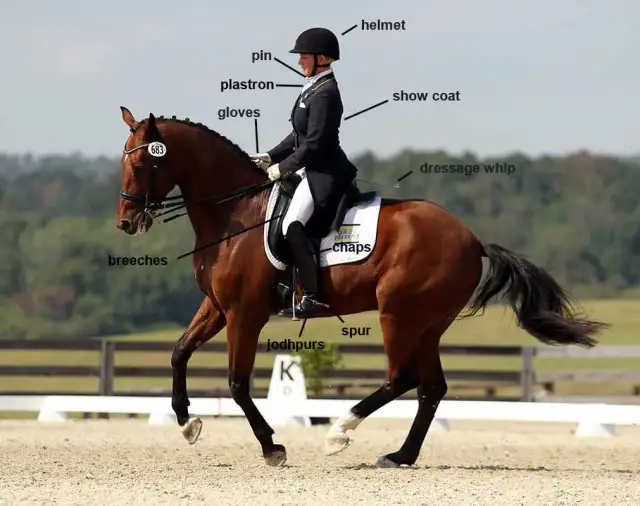 Jeździectwo po angielsku: jak przetłumaczyć i używać terminów jeździeckich