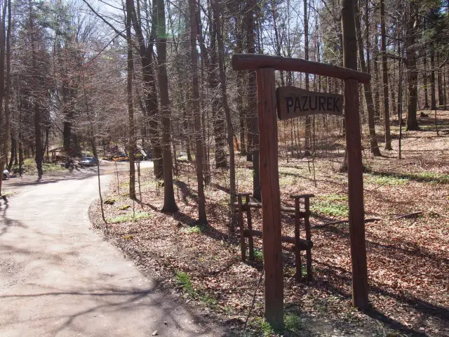 Rezerwat Przyrody Pazurek: co warto wiedzieć przed odwiedzeniem tego wyjątkowego miejsca