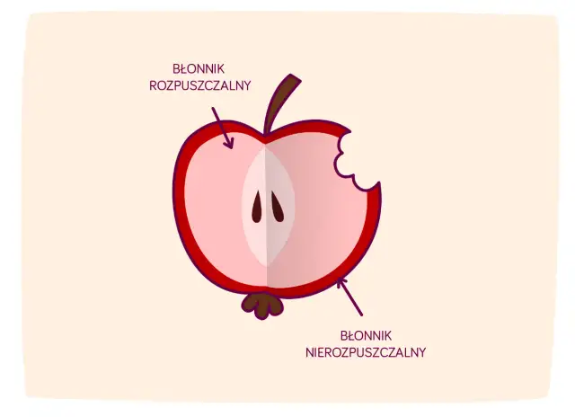 Połówka jabłka z widocznym miąższem i pestkami. Strzałki wskazują, gdzie znajduje się błonnik rozpuszczalny i nierozpuszczalny.