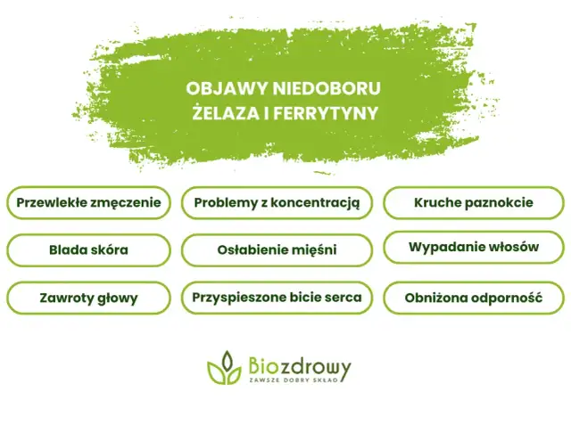 Niedobór żelaza: nietypowe objawy i klucz do diagnozy ferrytyną
