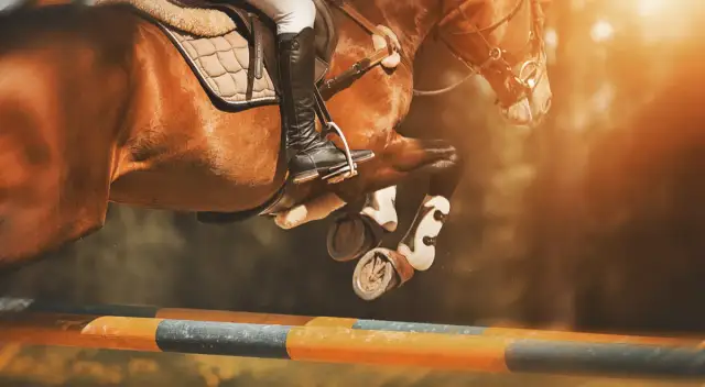 Po co koniom podkowy? Ochrona, zdrowie i korzyści dla koni