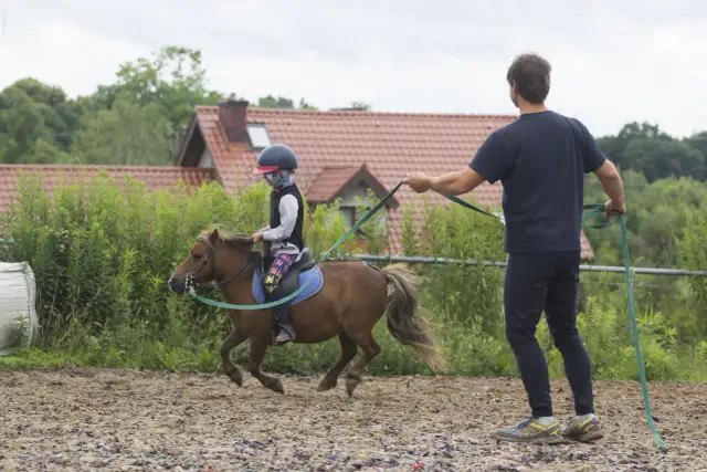 Szkółka jeździecka Kociałkowa Górka – nauka jazdy konnej dla każdego