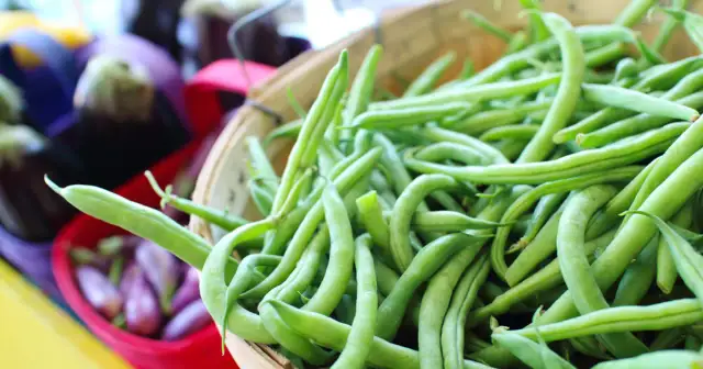 Fasolka szparagowa ile kalorii – poznaj niskokaloryczne wartości