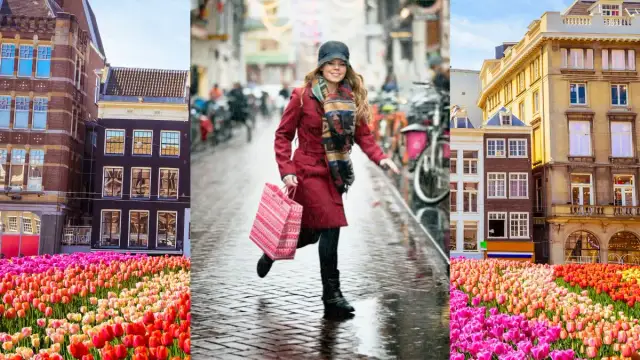 Co warto kupić w Holandii i sprzedać w Polsce, by zyskać?