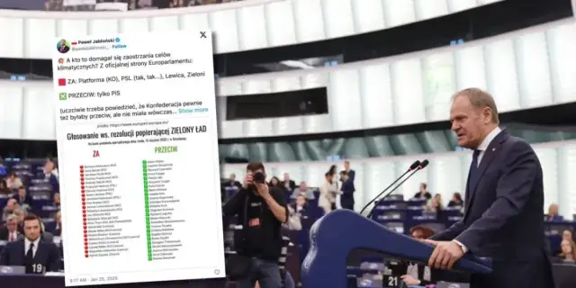 Zielony ład kto głosował za - lista europosłów i ich partie