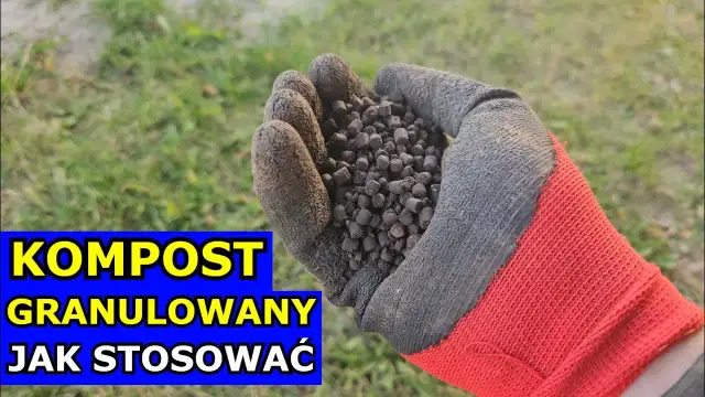 Jak skutecznie stosować kompost granulowany dla zdrowych roślin