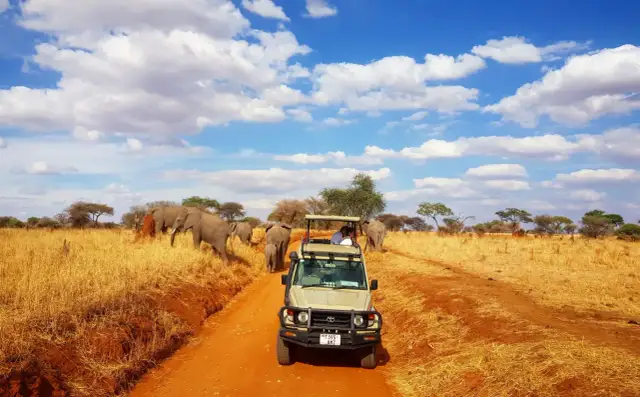 Niesamowite safari w Tanzanii! Słońce, chmury i stado słoni na tle sawanny. W oddali widać samochód terenowy z turystami.
