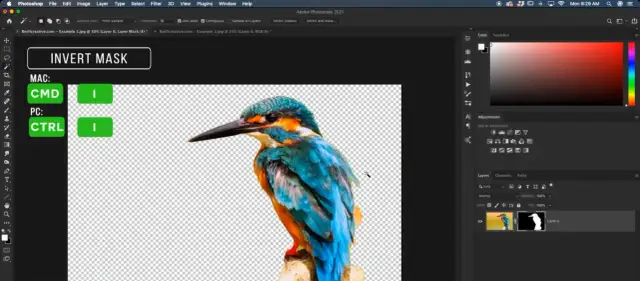 Jak usunąć tło w Photoshopie? AI, Pióro, Maski: Pełny przewodnik