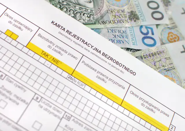 Zasiłek dla bezrobotnych po studiach - sprawdź, czy się należy i jak aplikować