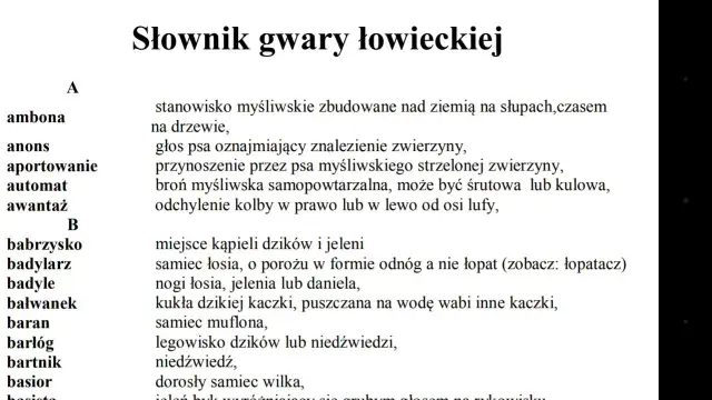 Gwara łódzka słownik: dlaczego mówimy "migawka" i "robion"?