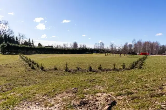 Jak wyznaczyć granice działki i uniknąć kosztownych sporów sąsiedzkich