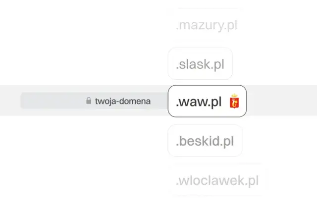 Rejestracja domeny .pl: Jak nie przepłacić? Przewodnik krok po kroku