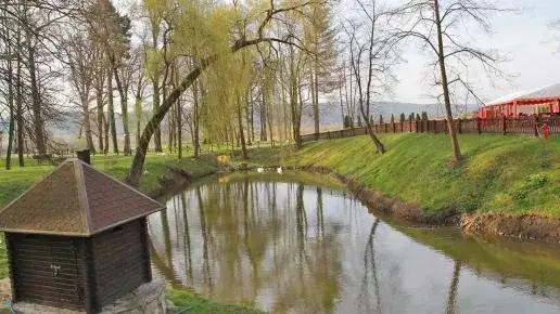 Najlepsze atrakcje w Dubiecku, które musisz zobaczyć podczas wizyty