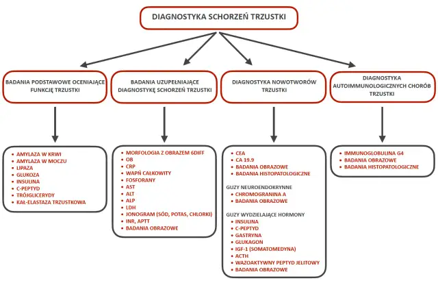 Jak zbadać trzustkę? Objawy, badania, interpretacja wyników