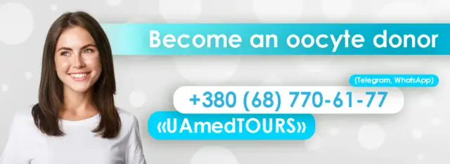 Ile można zarobić na oddaniu komórki jajowej? Prawda o wynagrodzeniu