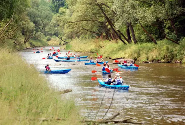 Spływy kajakowe pod lasem – niezapomniane przygody w Kolonowskim