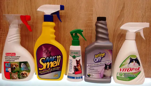 Jak usunąć zapach moczu kota z podłogi - skuteczne metody i porady