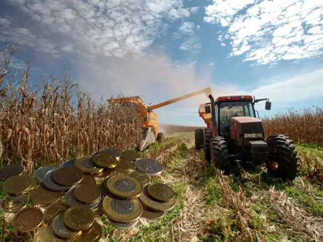 Ile wynosi renta rolnicza? Poznaj nowe stawki i zasady obliczania
