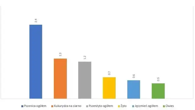 Ile zboża produkuje Polska? Zaskakujące dane o produkcji zbóż
