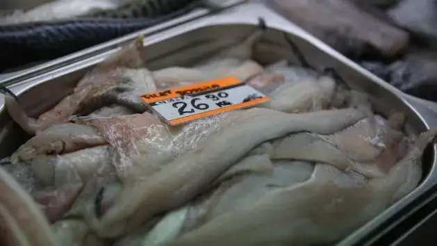 Czy można łowić dorsza w Bałtyku? Przepisy, zakazy i limity połowu