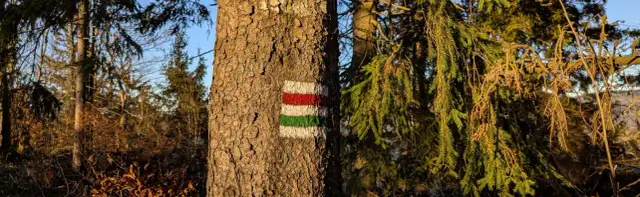 Wielka Sowa którym szlakiem – najkrótsze i najłatwiejsze trasy