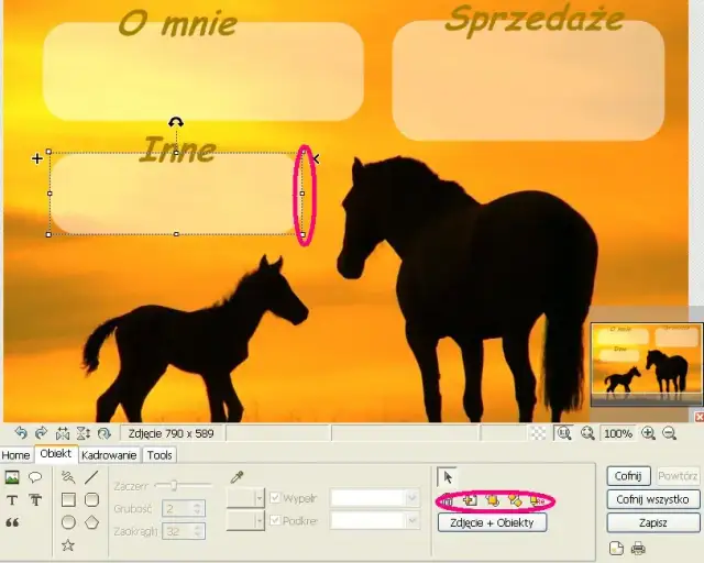 Jak zrobić prezentację HTML na Howrse i uniknąć najczęstszych błędów