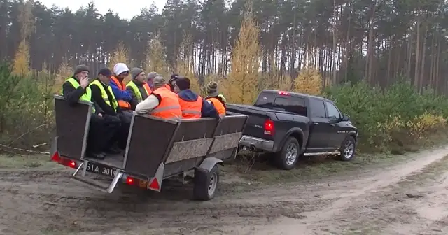 Kto ma pierwszeństwo w lesie: myśliwy czy Ty? Wyjaśniamy prawo