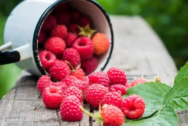 Krupnik malinowy z czym pić? Sprawdź najlepsze kombinacje smakowe i porady