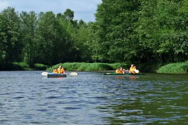 Spływy kajakowe Wkrą: Trasy, ceny i jak zaplanować przygodę