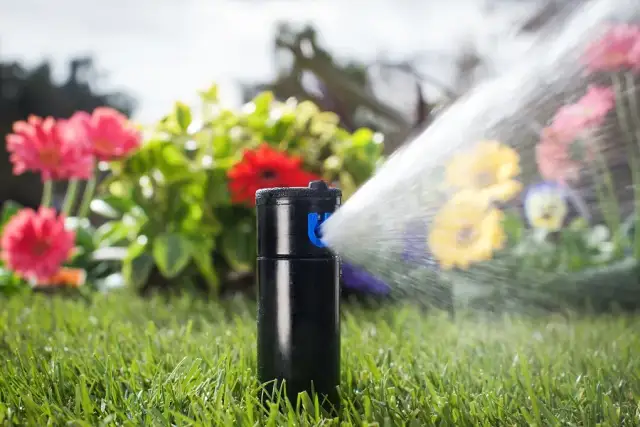 Jaki zraszacz wynurzalny wybrać? Najlepsze modele i porady nawadniania
