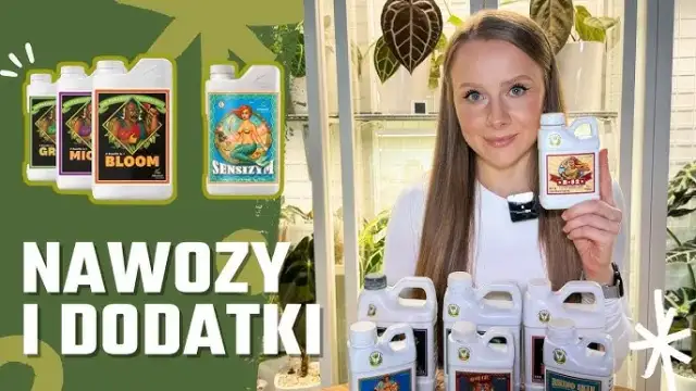 Najlepszy nawóz do hydroponiki – uniknij błędów w uprawie roślin