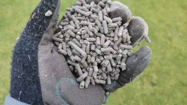 Jaki obornik na trawnik? Odkryj najlepsze nawozy dla zdrowej trawy