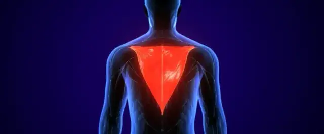 Napięty mięsień czworoboczny objawy – jak uniknąć bólu i dyskomfortu