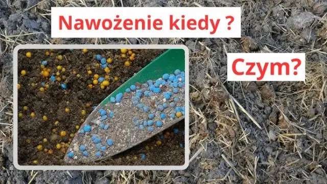 Nawóz Bontar kiedy stosować - najlepsze czasy na skuteczne nawożenie