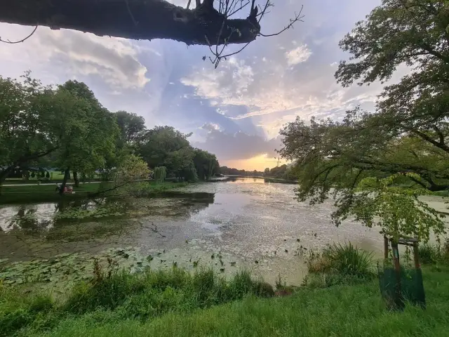 Jezioro Kamionkowskie: historia, atrakcje i tajemnice w Warszawie