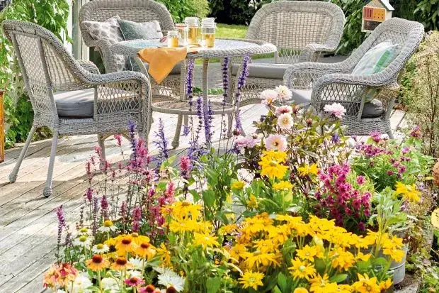 Jakie kwiaty wiszące na taras: piękne i łatwe w pielęgnacji rośliny