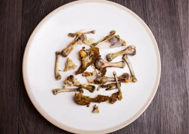 Czy pies może jeść kości z kurczaka? Poznaj ryzyko i bezpieczne alternatywy