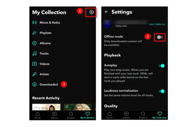 Tidal offline: Jak pobierać muzykę krok po kroku (Poradnik)