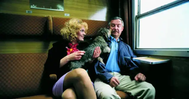 Reżyser filmu dzień świra: Marek Koterski i jego niezwykła wizja