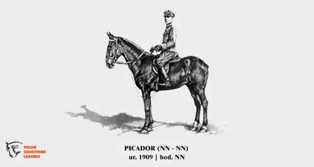 Polskie legendy jeździectwa: Od husarii po złoto olimpijskie