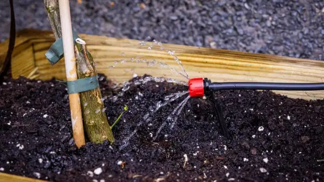 Riego por goteo en Leroy Merlin: encuentra el sistema ideal para tu jardín